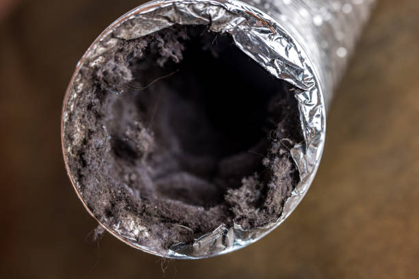 Best Air Duct Cleaning Near Me  in Red Oak, NC